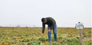 VIDEO/Njihuni me Martirjon, i riu që la emigrimin dhe hapi fermë në Divjakë