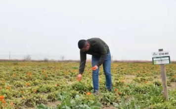 VIDEO/Njihuni me Martirjon, i riu që la emigrimin dhe hapi fermë në Divjakë