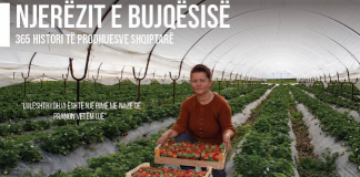 Njihuni me Armelën, fermerja që kultivon 3 hektarë luleshtrydhe