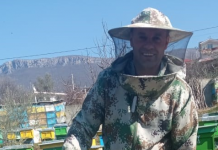 Njihuni me Dilaverin, bletërritësi që prodhon 6 kuintal mjaltë në vit: Kam 150 koshere me bletë