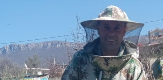 Njihuni me Dilaverin, bletërritësi që prodhon 6 kuintal mjaltë në vit: Kam 150 koshere me bletë