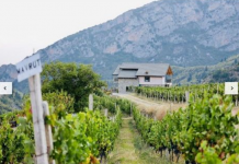 Promovim fantastik i agroturizmit dhe identitetit tonë rural në “Corriere della Sera”