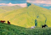 Pamjet nga Bjeshkët e Kukësit bëhen virale në rrjet