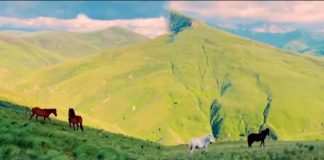 Pamjet nga Bjeshkët e Kukësit bëhen virale në rrjet