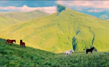 Pamjet nga Bjeshkët e Kukësit bëhen virale në rrjet