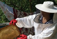 “Në fshat”, studentët eksperiencë unike në zonat rurale të vendit