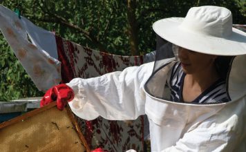 “Në fshat”, studentët eksperiencë unike në zonat rurale të vendit