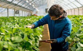 Bujqësia, potencial në programin europian për shkëmbimin e sipërmarrësve të rinj