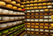 FOTO/ Djathë e mjaltë-produktet vulë të Shqipërisë