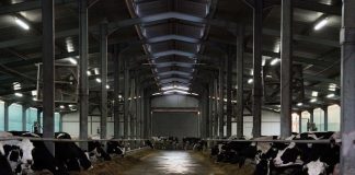 Ferma e familjes Gjondrekaj, mbështetje nga programi IPARD II