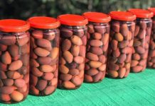 Nga Lezha në Europë – Fruta dhe Perime të Konservuara nga Amarilto SHPK