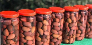 Nga Lezha në Europë – Fruta dhe Perime të Konservuara nga Amarilto SHPK