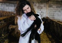 FRYMËZIM/ Njihuni me Klean, e reja që u bë veterinare: I dua shumë kafshët