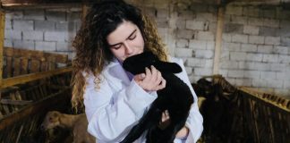 FRYMËZIM/ Njihuni me Klean, e reja që u bë veterinare: I dua shumë kafshët