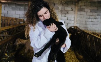 FRYMËZIM/ Njihuni me Klean, e reja që u bë veterinare: I dua shumë kafshët
