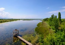 Laguna e Kune Vainit, ndër oazet e biodiversitetit në Europë