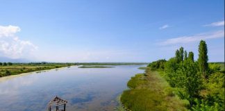 Laguna e Kune Vainit, ndër oazet e biodiversitetit në Europë