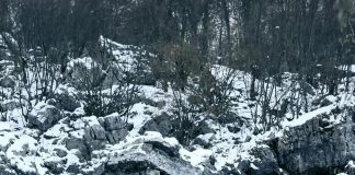 Liqeni i Xhemës në Valbonë, pamje magjike në dimër