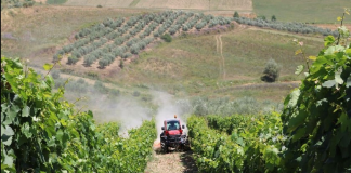 Mekanika bujqësore, 11.2 milionë euro grant për 156 kontrata për fermerët