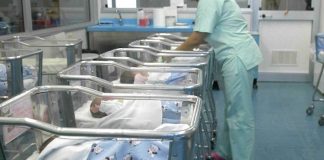 Kur nëna e shtatë fëmijëve lind… pesënjakë!