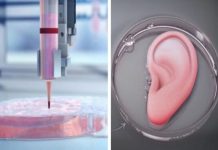 Transplantet, organet e printuara 3D mund të jenë kufiri i ri në mjekësi