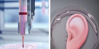 Transplantet, organet e printuara 3D mund të jenë kufiri i ri në mjekësi