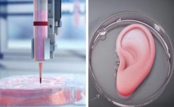 Transplantet, organet e printuara 3D mund të jenë kufiri i ri në mjekësi