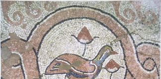 Pagëzimorja e Butrintit, një nga më të mëdhatë në Mesdhe