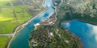 Pylli i Butrintit, me rëndësi ekonomike në Mesjetë