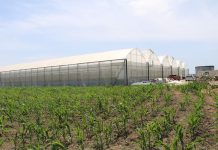 AZHBR, serra në Fier rrit sipërfaqen e të mbjellave me 66 hektarë