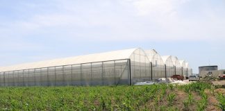 AZHBR, serra në Fier rrit sipërfaqen e të mbjellave me 66 hektarë