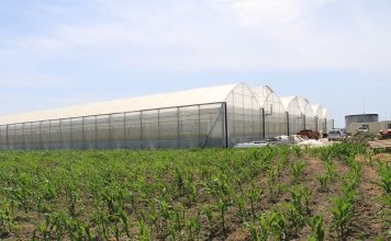 AZHBR, serra në Fier rrit sipërfaqen e të mbjellave me 66 hektarë