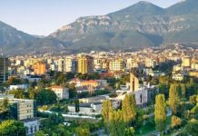 Mundësi më të larta për Shqipërinë në tregun global të teknologjisë