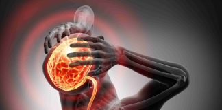 Superushqimi që mbron trurin dhe mban nën kontroll tensionin