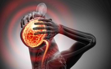 Superushqimi që mbron trurin dhe mban nën kontroll tensionin