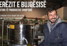 Ulliri i Beratit, produkt i kombit tonë, me traditë dhe vlera