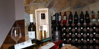 Shqipëria, vendi i 50-të anëtar i Organizatës Ndërkombëtare të Verës dhe Vreshtarisë