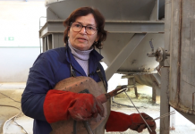 Njihuni me Hamiden, gruaja e vetme që punon si saldatore në Shqipëri: Puna është ilaçi më i mirë