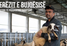 Njihuni me të riun nga Vlora që ka 400 dele: ‘Guri i rëndë në vend të vet’, prandaj u ktheva nga emigrimi