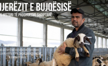 Njihuni me të riun nga Vlora që ka 400 dele: ‘Guri i rëndë në vend të vet’, prandaj u ktheva nga emigrimi