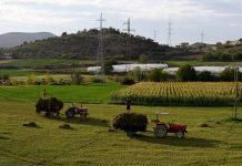 IPARD II, 326 kontrata investimesh të përfunduara me sukses