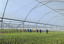 Rritet numri i fermerëve të siguruar, ndikim formalizimi përmes skemave mbështetëse