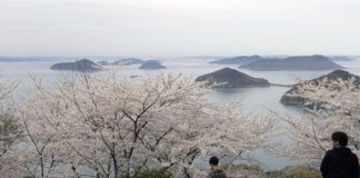 ‘Surprizohet’ Japonia, zbulon 7000 ishuj që nuk e dinte se i kishte