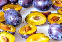 Si të Mbillni Kumbullën nga Bërthama – Mësoni të gjitha Hapat