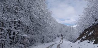 Parku i Shebenikut mbulohet nga dëbora edhe në pranverë