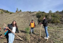 FOTOT/ Model frymëzimi, gjimnazistët e Pezës mbjellin 500 pemë