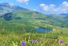 “Shtegu i Ngjyrave” në Kukës, destinacioni turistik i pranverës