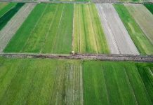 Vijon ringritja e sistemit kullues të tokave bujqësore në Fier