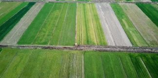 Vijon ringritja e sistemit kullues të tokave bujqësore në Fier