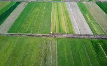 Vijon ringritja e sistemit kullues të tokave bujqësore në Fier